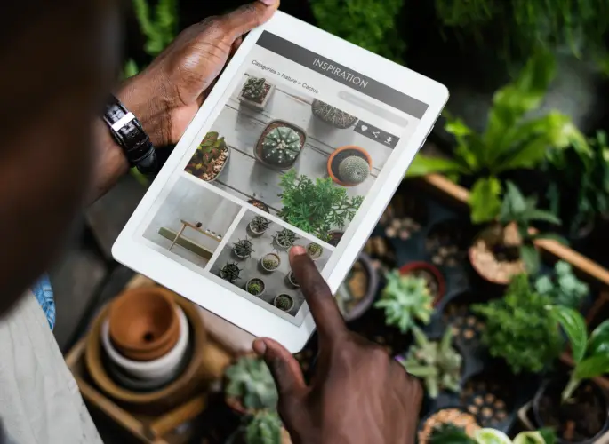 Création e-commerce